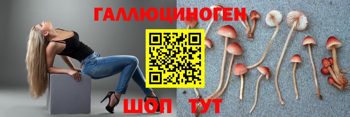 Галлюциногенные грибы мицелий  Вход с VPN  Ессентуки  Псилоцибиновые грибы MAGIC MUSHROOMS 