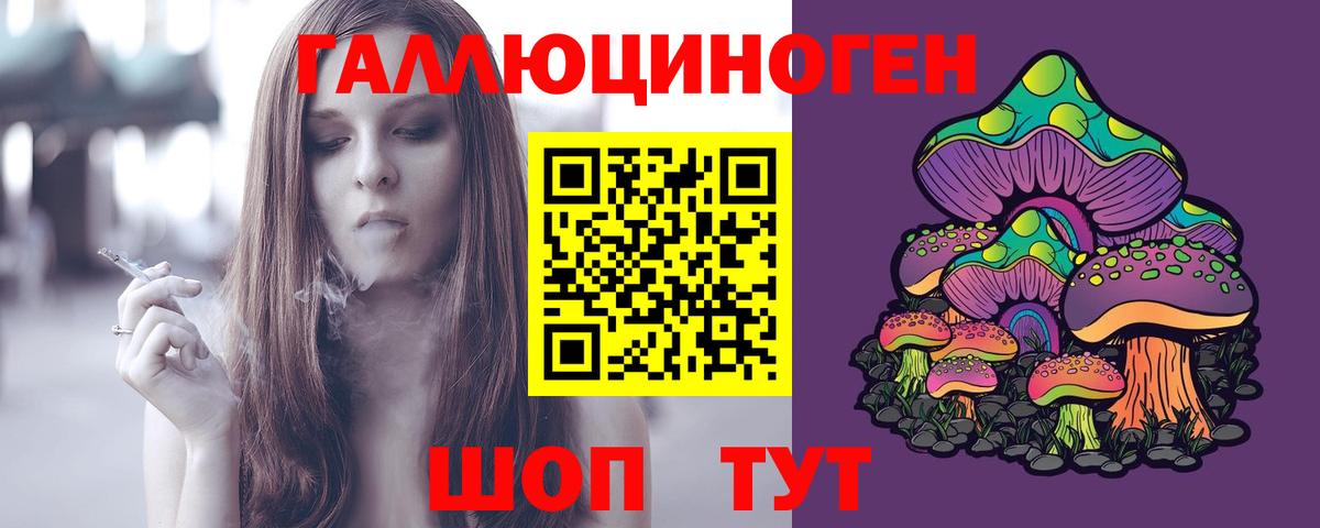 Галлюциногенные грибы Psilocybine cubensis Ессентуки